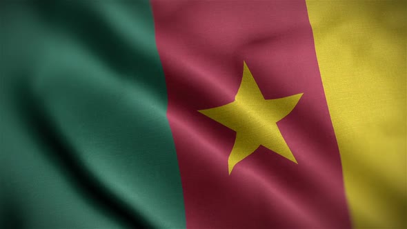 Cameroon Flag Closeup Blowing In Wind alt