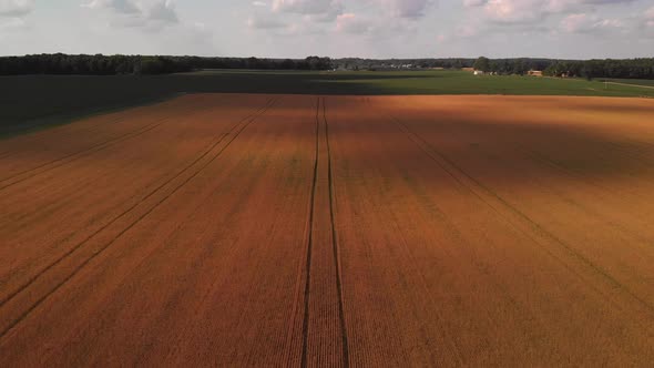  Aerial View Of Wheat Field At Sunset