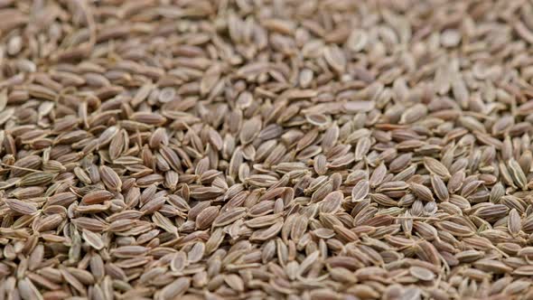 Dry Dill Seeds on Flat Surface Slow Rotating Looped Background