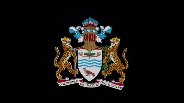 Coat Of Arms Of Guyana With Alpha Channel  - 4K alt
