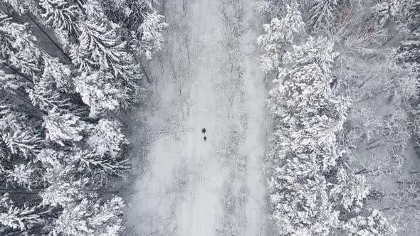 Mom and Son Ride Tubing in the Winter Frosty Forest