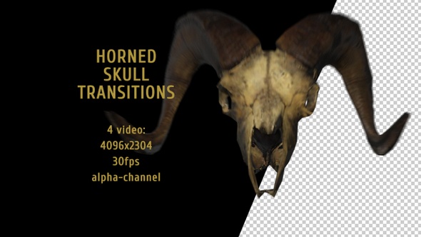 Horned Skull Transitions