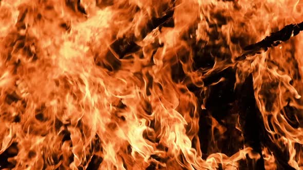 Big Bonfire Burns at Night in Slow Motion on a Black Background alt