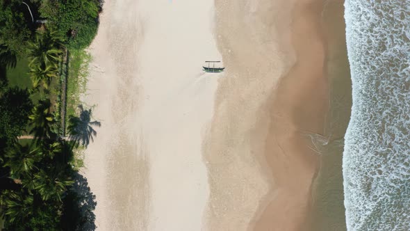 Aerial View of a Fishing Boat Gull Palm and Lizard on the Sandy Beach of the Island of Sri Lanka the