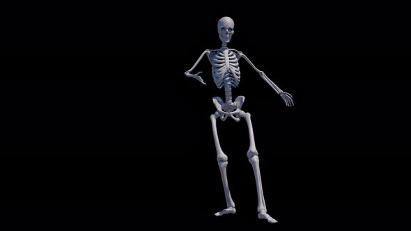Hallowen Skeleton Dance Loop 4K