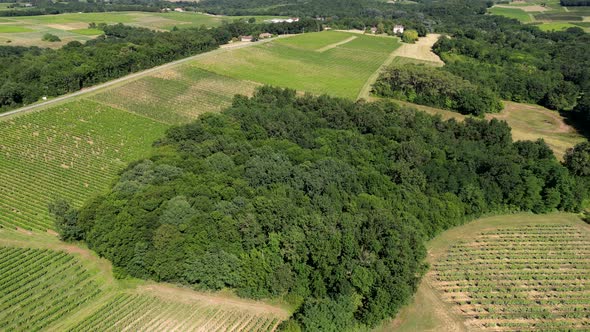 Aerial view bordeaux vineyard in summer, landscape vineyard