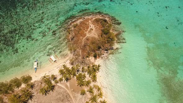 Beautiful Tropical Island alt