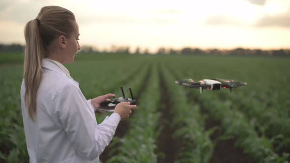 Woman Agronomist Controls Drone alt