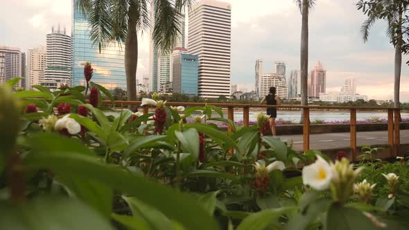 Back View of Asian Women Jogging in City Park with Skyscrapers on Background alt