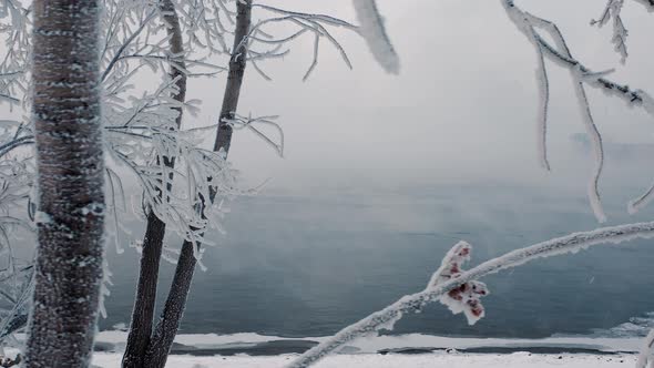 The Yenisei river Snowy trees Falling snow Russia Siberia Krasnoyarskiy Kray Krasnoyarsk alt