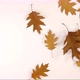 Gentle fall of autumn leaves - VideoHive Item for Sale