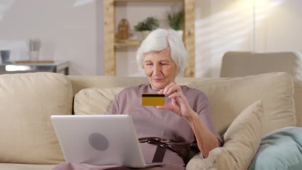 Elderly Woman Shopping Online on Laptop alt