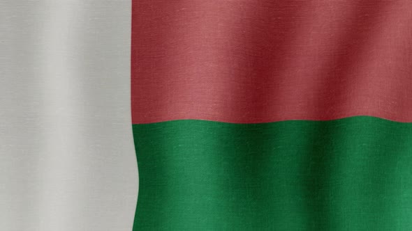 The National Flag of Madagascar