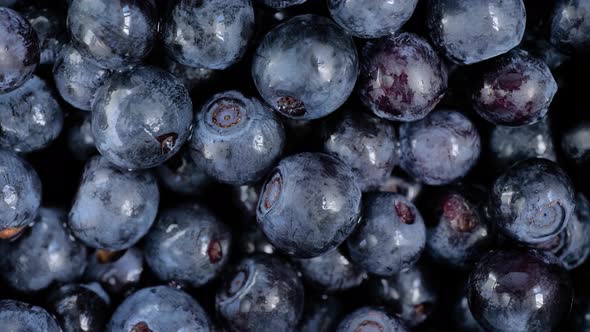 Heap of Fresh Juicy Bilberries on Rotating Surface  Close Up Macro