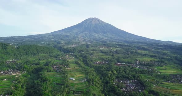 Rural view of rice field, village and plantation in Magelang with mount Sumbing in the background. a alt