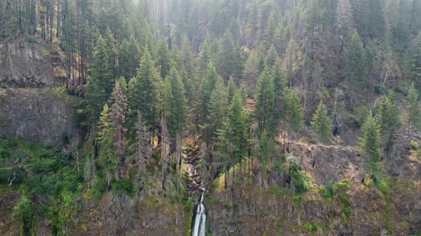 Drone pan shot of the forest and a waterfall cascading down the canyon in the Columbia River Gorge i alt