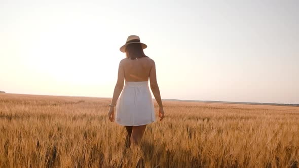 Happy Free Young Woman Walking Away in Slow Motion Across Field Touching Ears of Wheat with Her Hand alt