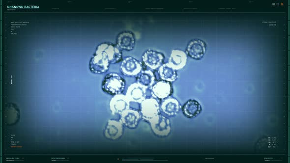 Microscopic Study Of Microorganism Cells At Innovative Vaccine Research Lab alt