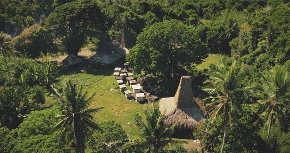 Traditional Village with Ornately Carved Roofs Houses of Village at Tropical Green Palm Trees alt