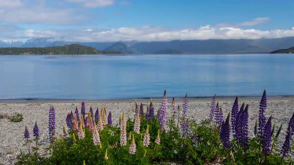 Lake Manapouri in New Zealand alt