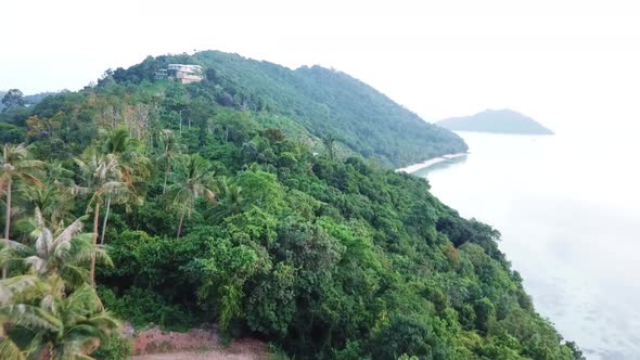 Tropical Jungle with Coconut Palm Trees Near Sea