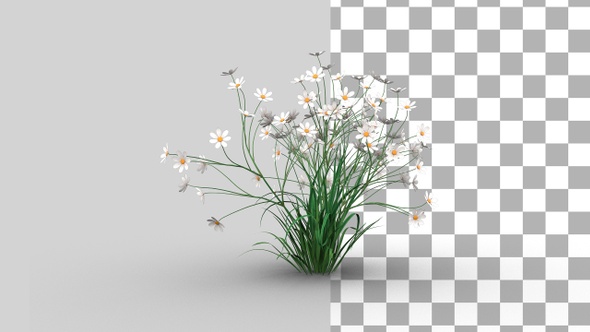 Flower Growing 03 alt