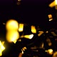4K Realistic Golden Confetti Party Popper on a Black Background. - VideoHive Item for Sale