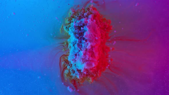 Marco Shot Pill Dissolves in Multi Colored Water