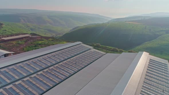 Aerial footage of large dairy farm with solar panels on the roofs alt