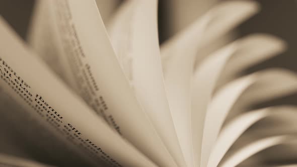 Loop of book turning pages symbolizing education, learning, wisdom or knowledge. alt