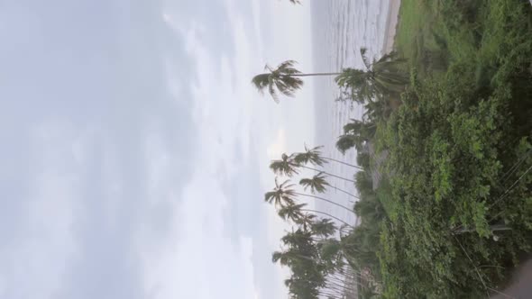 Vertical panning video which shows first a beautiful beach then pans over to a beautiful long haired alt