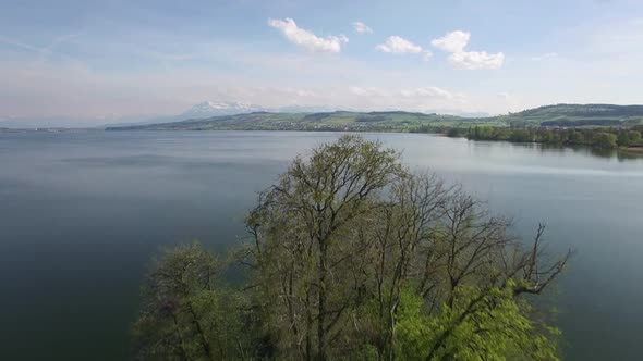 Nature Lake Environment Ecology Background alt