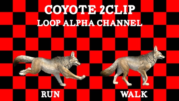 Coyote 2Clip Loop
