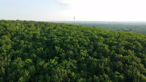 Aerial view of flying on a drone over beautiful green trees in the forest. Summer sunny time.Uhd alt