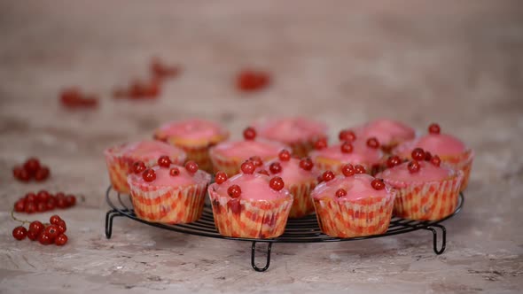 Woman Decorated a Tasty Muffins With Red Currants Berries