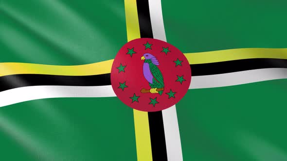 Flag of The Dominica