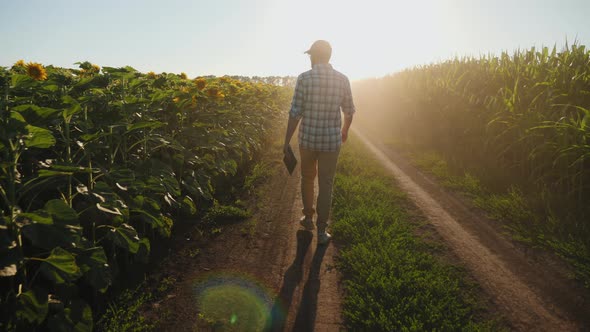 Farmer with Digital Tablet Walking Between Agricultural Fields