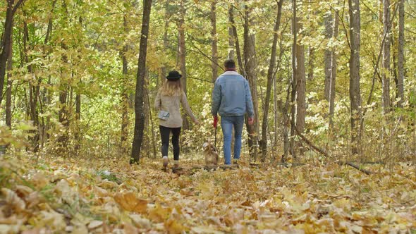 The dog jumping for a twig in his owner's hand alt