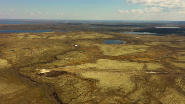 Tundra in Autumn