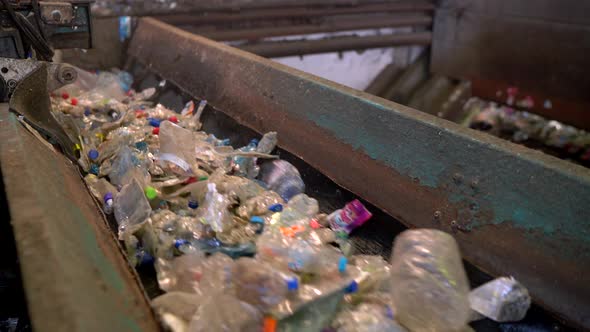 Plastic Bottles On The Way Of Recycling