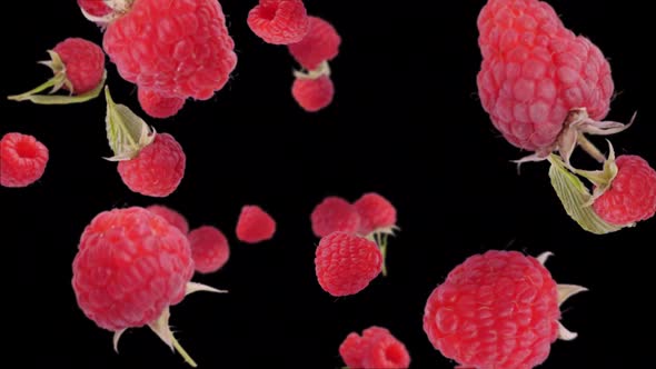 Raspberry Explosion With Fruits Flying - alpha channel included alt