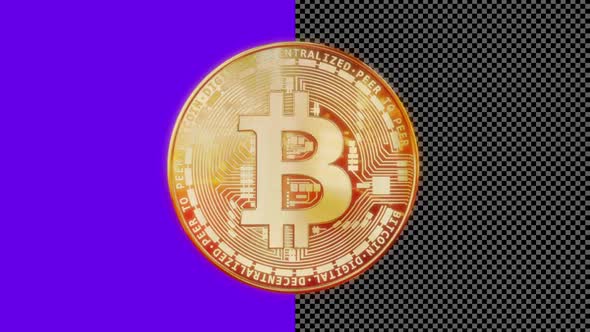 Golden Bitcoin Loopable Rotation