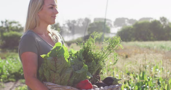 Video of happy caucasian woman with box of fresh vegetables in field on sunny day alt