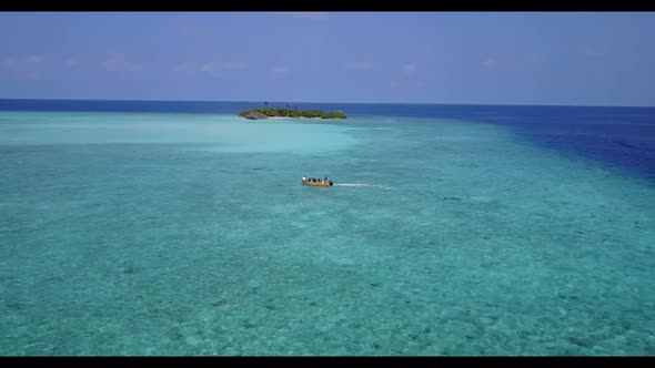 Aerial sky of tranquil coastline beach wildlife by turquoise lagoon and clean sandy background of a  alt