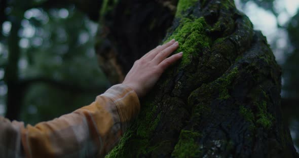 Woman Touch Tree Bark Trunk in Cinematic Forest alt