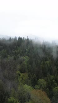 Vertical Video of Fog in the Mountains alt
