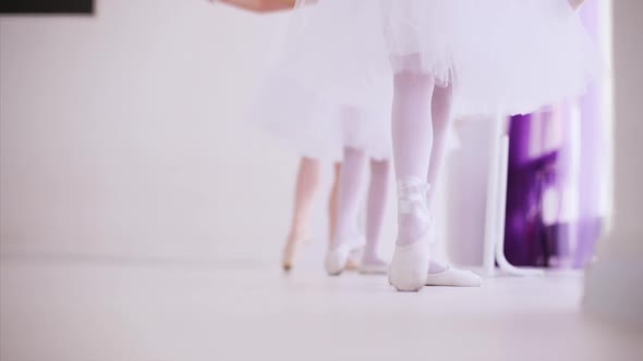 Ballerinas Repeat After the Teacher Exercises for the Legs Near Barre Stand