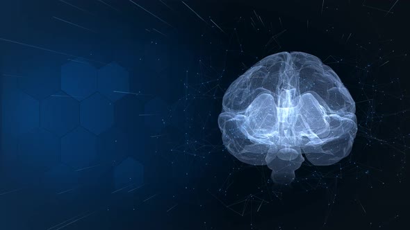 Brain On Scientific Background