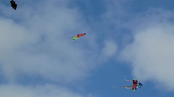 3 Kytes 3 Kites Flying Against a Cloudy Sky
