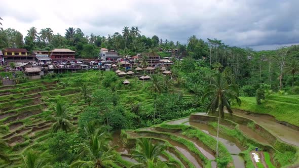 Aerial View of Tegallalang Rice Terraces, Bali, Indonesia